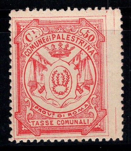 Palestrina nuovo 100 - palestrina, 100%