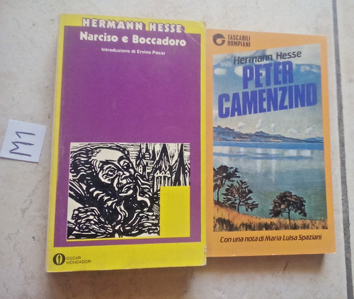Libro hermann hesse peter - libro,
