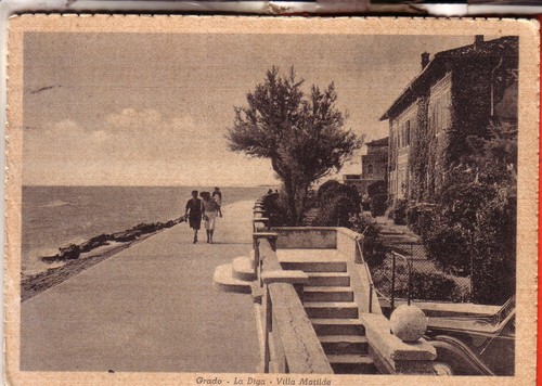 Cartolina grado opaca - ,
