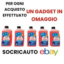 5 LITRI LIQUIDO ANTIGELO ROSSO