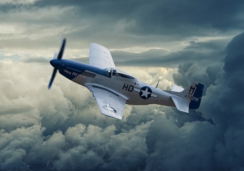 Mustang miss helen grey - miss, helen,
