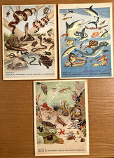 3 Quaderni di scuola vintage