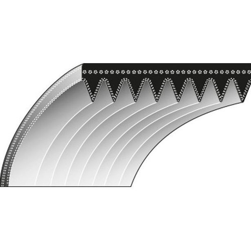 Cinghia dentata trattorino