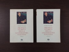 Giulio Ferroni: Profilo