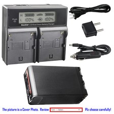 Kastar LCD Dual Fast Charger
