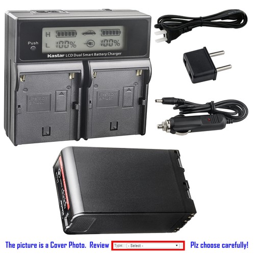 Kastar lcd dual fast charger - lcd,