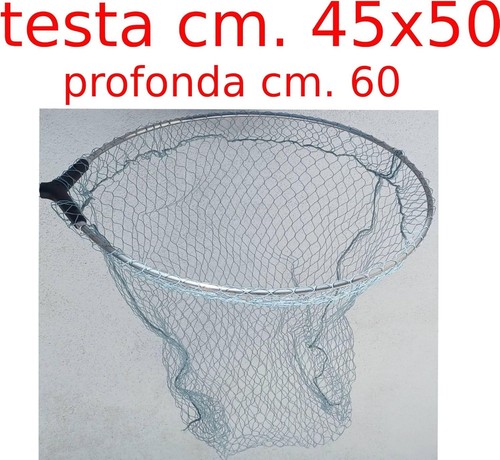Testa guadino pesca - pesca, filettata