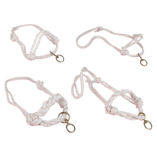 Capezza per mucche accessori - capezza,