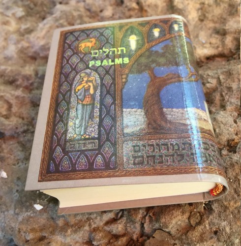 Libro tascabile dei salmi