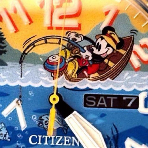 Disney citizen - citizen,
