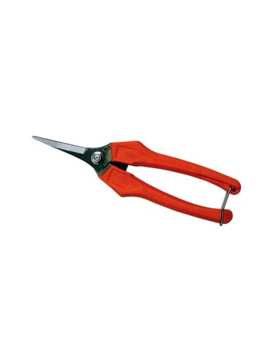 Forbice per vendemmia uva - , inox