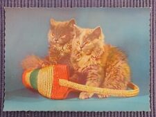 Vecchio Cartolina Ak 2 Gatti