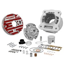 Cilindro Malossi DM 52 MHR