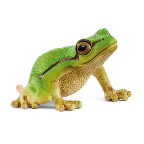 Raganella europea miniatura - europea, in