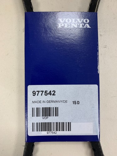 Cinghia alternatore originale