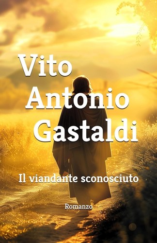 Viandante sconosciuto - viandante,