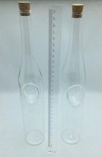 Coppia Bottiglie in Vetro