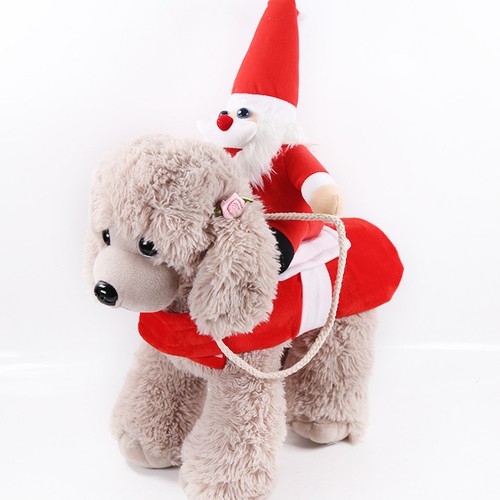 Costume natalizio fantasia