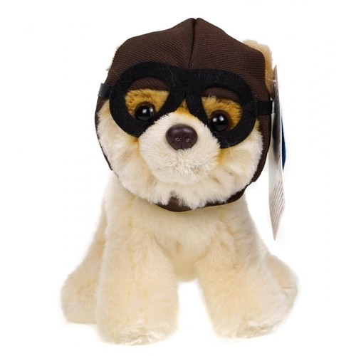 Boo the world cutest dog - the,