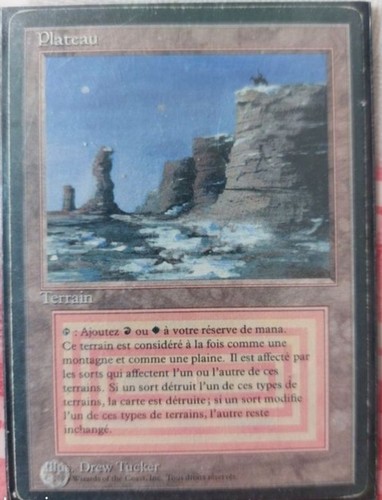 Magic mtg plateau - magic,