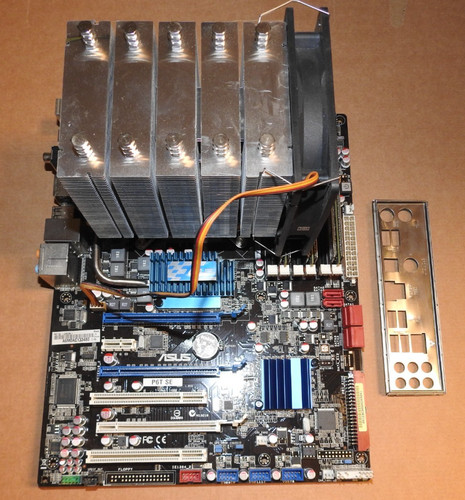 Pacchetto scheda madre asus - scheda,