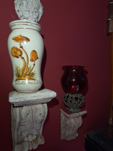 Grande albarello pholiota - albarello,