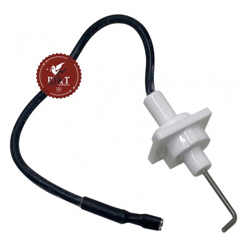 Elettrodo scaldabagno ariston - elettrodo,