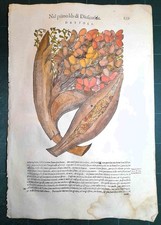 MATTIOLI MATTHIOLI Erbario a