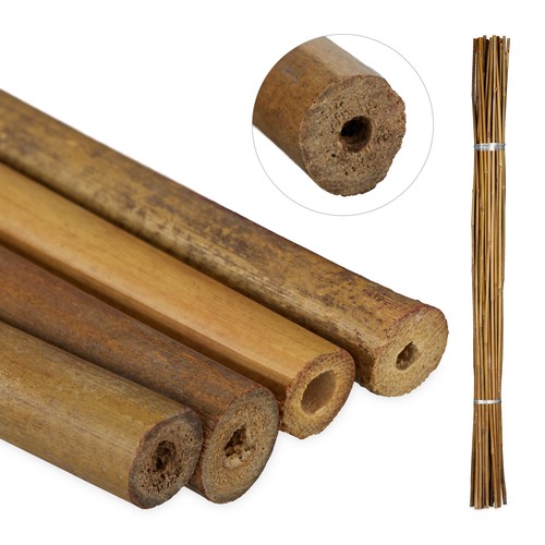 Canne bambù sostegni per - bambù,