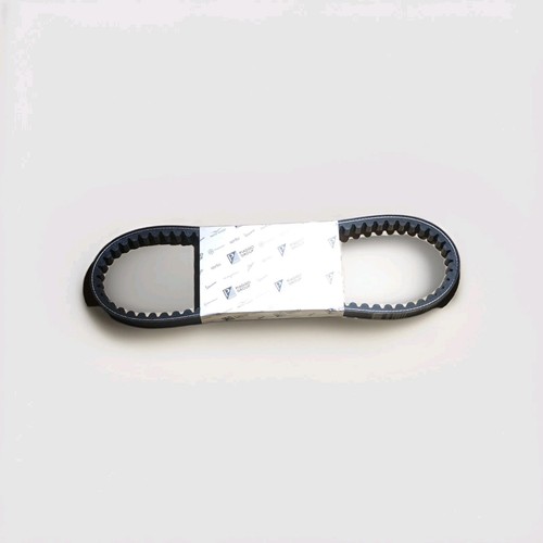 1a010206 cinghia - 1a010206,