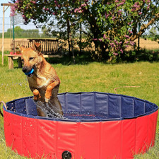 Piscina per Cani Pieghevole in
