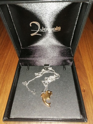 Collana con delfino acciaio - con,
