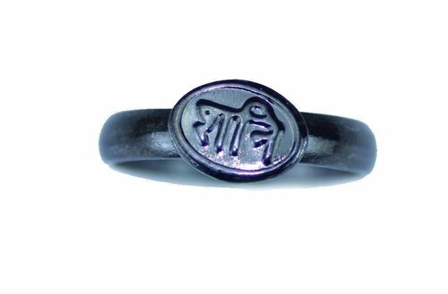 Shani piastra anello