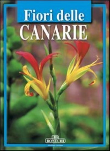 Fiori delle canarie - fiori, canarie,