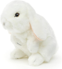 - Coniglio Ariete, in Piedi