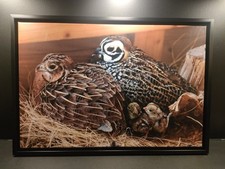 Tela con cornice 60 x 40 cm