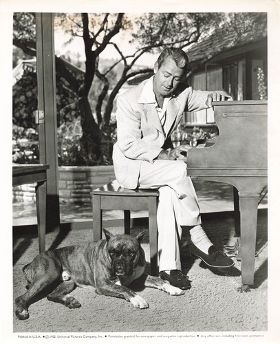 Alan ladd photo argentique - ladd,