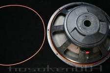 Coppia Di O-ring JBL 2220