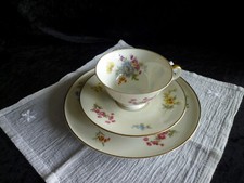 Tazza da collezione H&G Selb