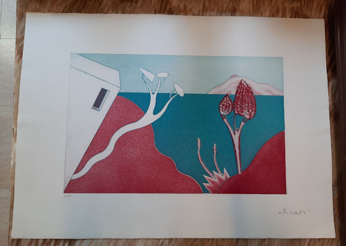 Luca alinari serigrafia per - luca,