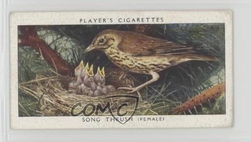 1937 player birds their - 1937,