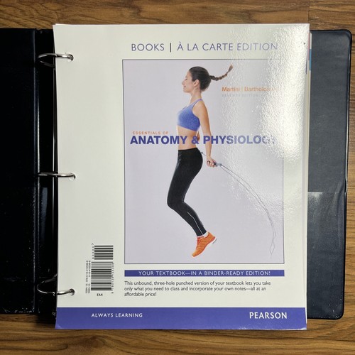 Essentials anatomy and - essentials, of
