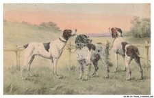 CG-BFP3-1103-CANI - Tre Cani