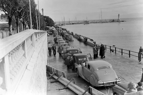 Vard young jaguar 4x6 - vard,
