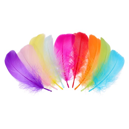 100 piume colorate per - piume,
