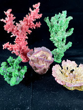 6 Piante di Corallo Pesci