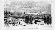 Antique Print SUNSET COWS with