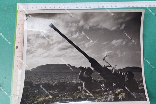 Sba56 ww2 tunisia - sba56),