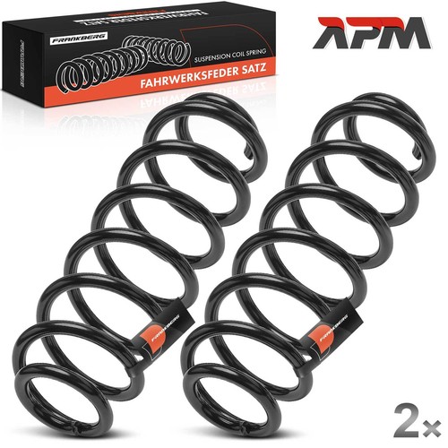 Molle ammortizzatore - 2x,