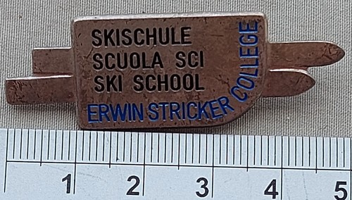 Spilla scuola sci vintage - spilla,